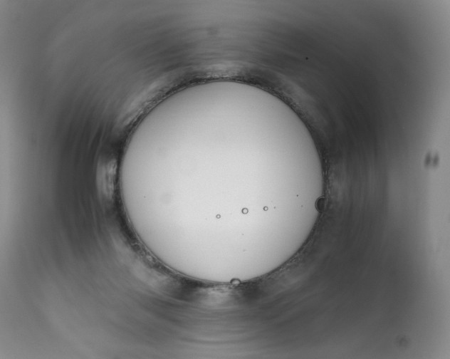 X0000111430118200907271114