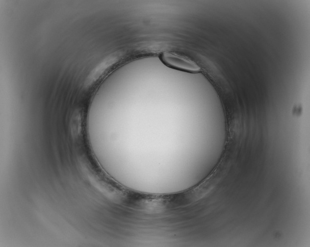 X0000111430120200907271114