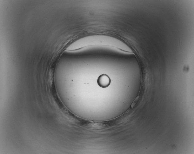 X0000111430121200907271114