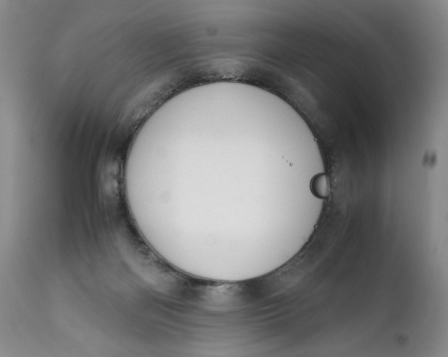 X0000111430122200907271114