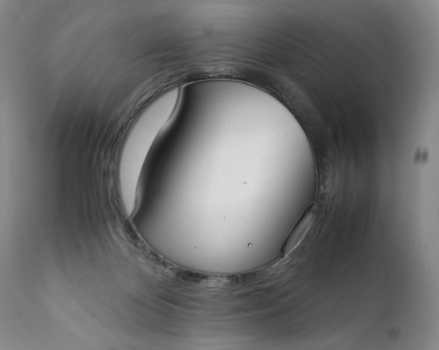 X0000111430124200907271114