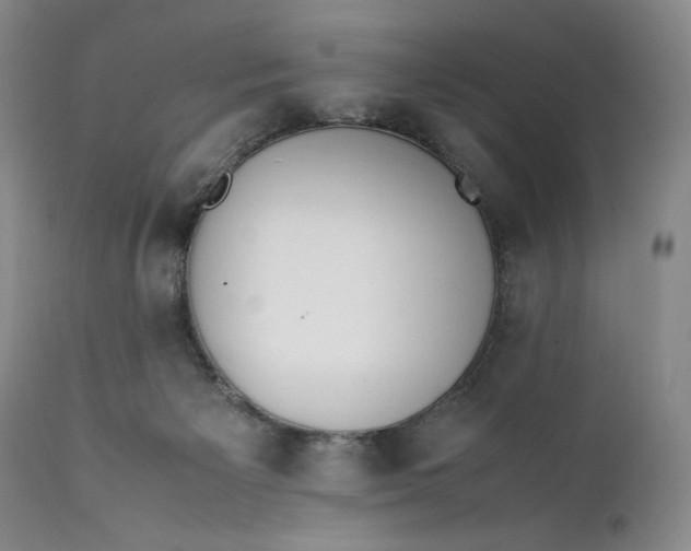 X0000111430125200907271114