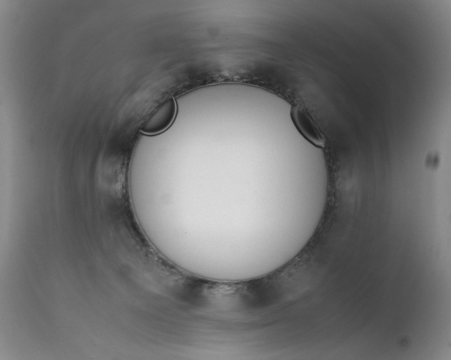 X0000111430129200907271114