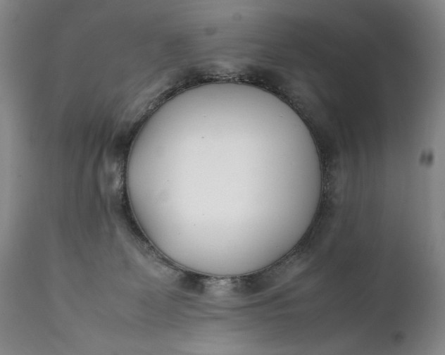 X0000111430131200907271114