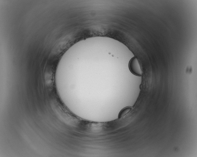 X0000111430134200907271114