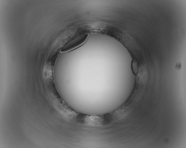 X0000111430137200907271114