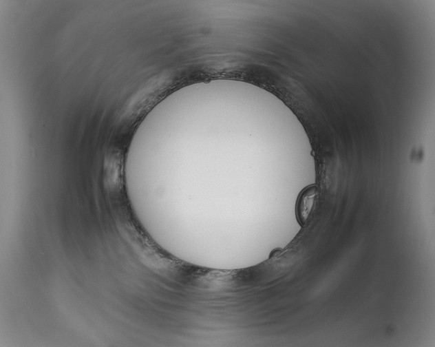 X0000111430138200907271114