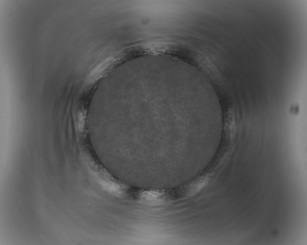 X0000111430139200907271114