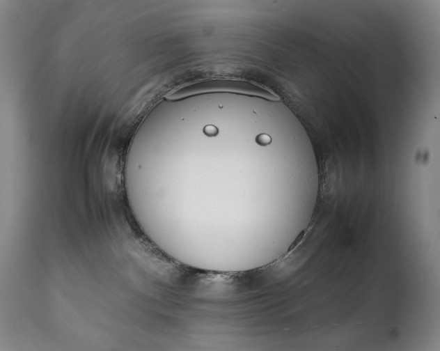 X0000111430140200907271114