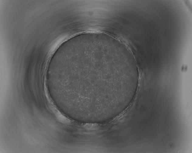 X0000111430145200907271113