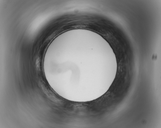 X0000111430146200907271113