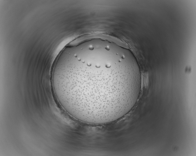 X0000111430147200907271113