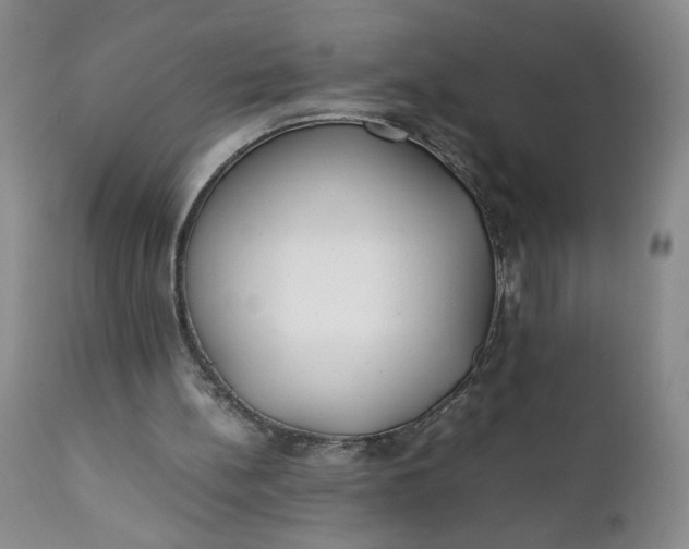 X0000111430148200907271113