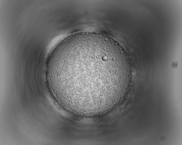 X0000111430149200907271113