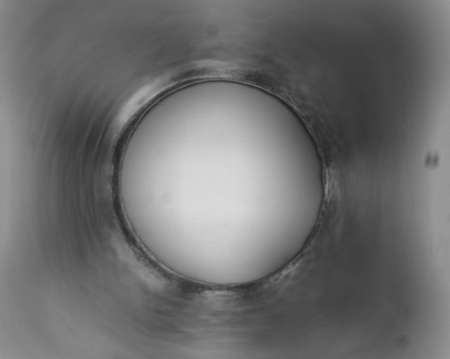 X0000111430150200907271113