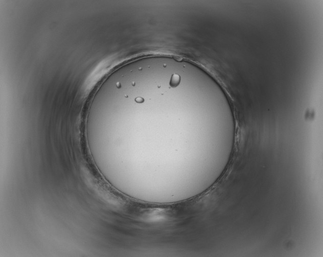 X0000111430151200907271113