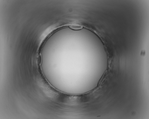 X0000111430152200907271113