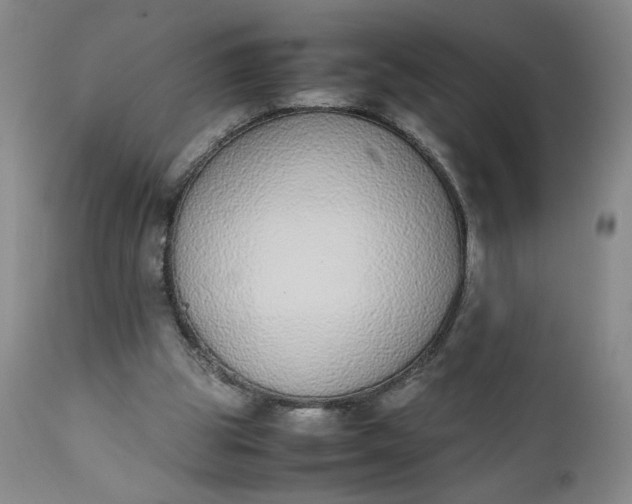 X0000111430153200907271113