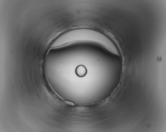 X0000111430154200907271113