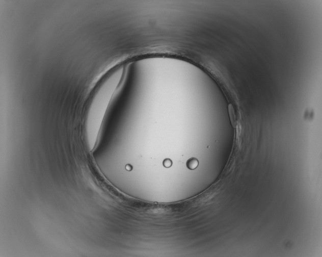 X0000111430156200907271113