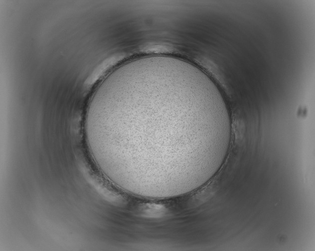 X0000111430159200907271113