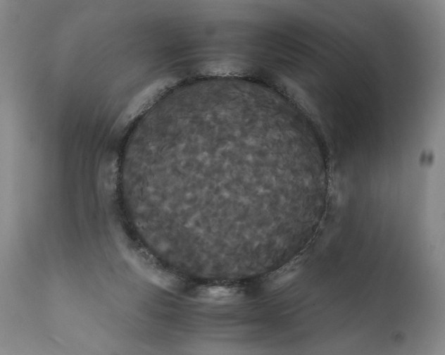 X0000111430163200907271114