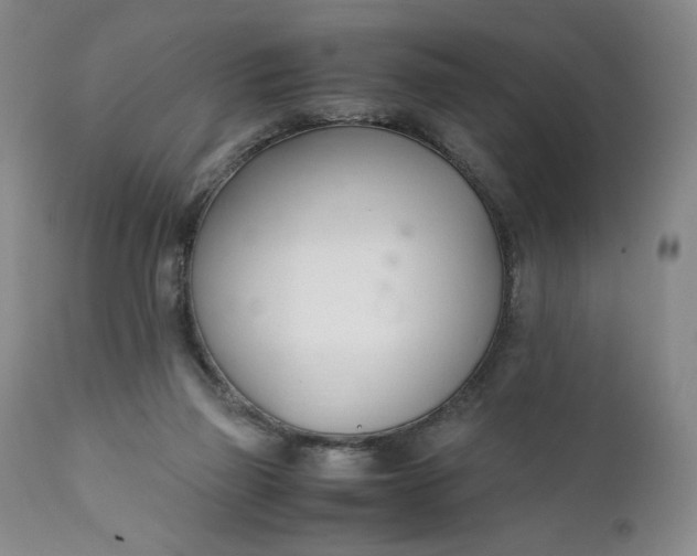 X0000111430165200907271114