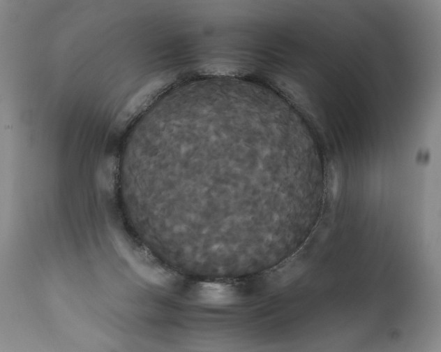 X0000111430167200907271114