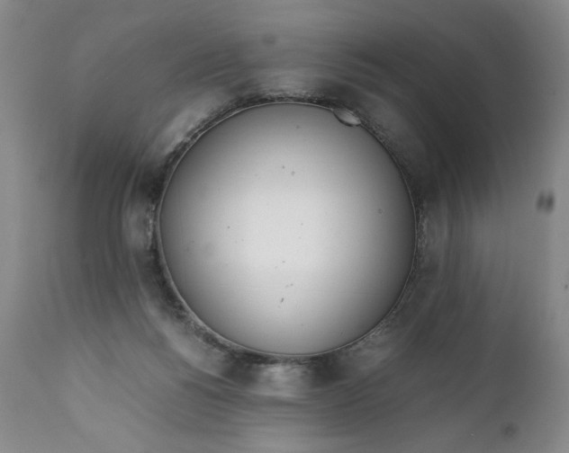 X0000111430168200907271114