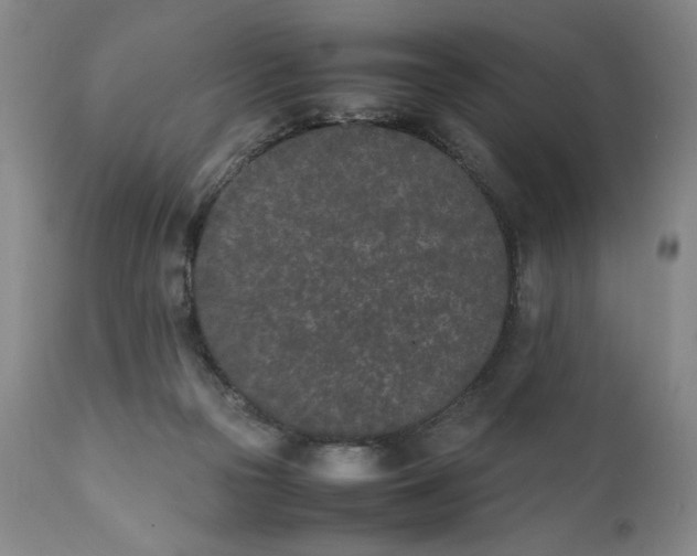 X0000111430169200907271114