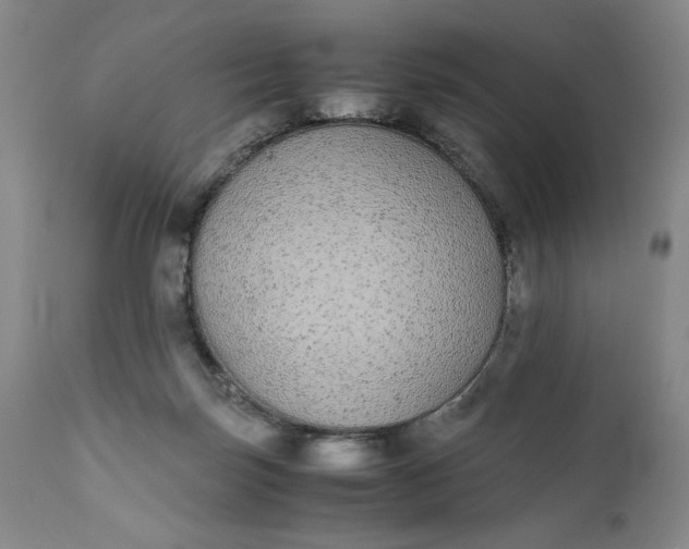 X0000111430171200907271114