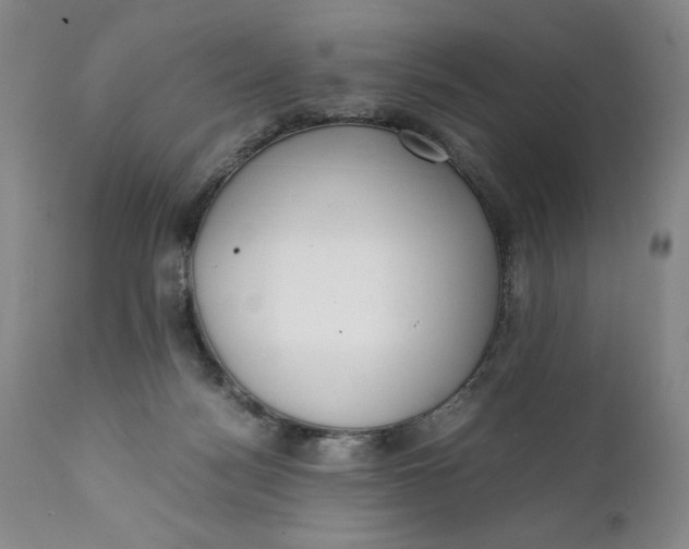 X0000111430172200907271114