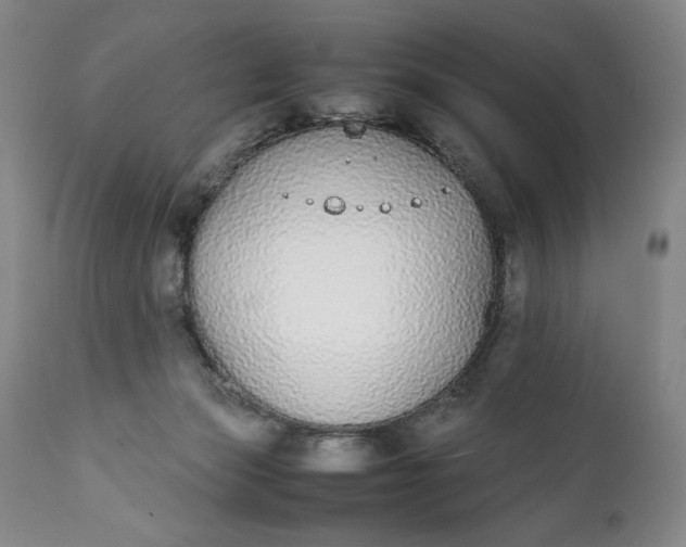 X0000111430173200907271114