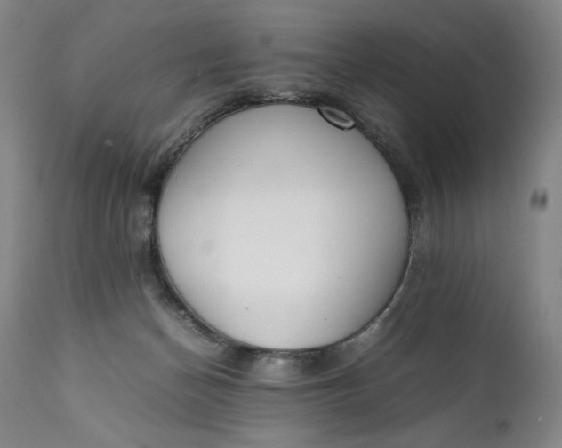 X0000111430174200907271114