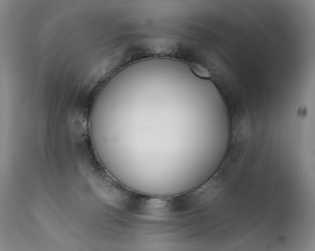 X0000111430176200907271114