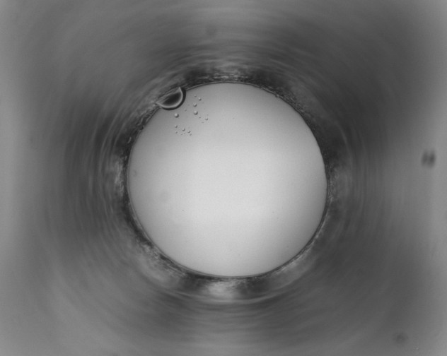 X0000111430178200907271114