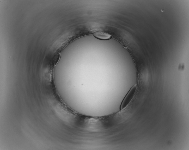 X0000111430180200907271114