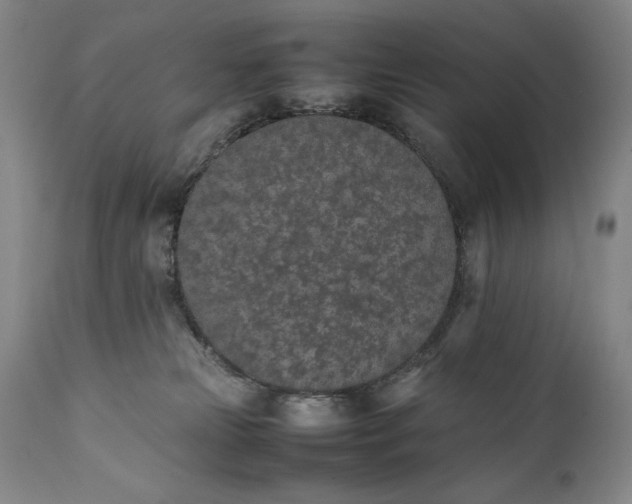 X0000111430181200907271114