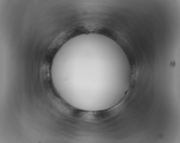 X0000111430182200907271114