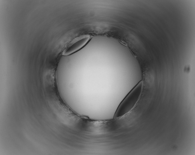 X0000111430184200907271114