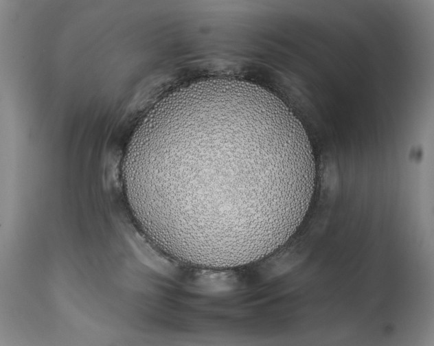 X0000111430185200907271114