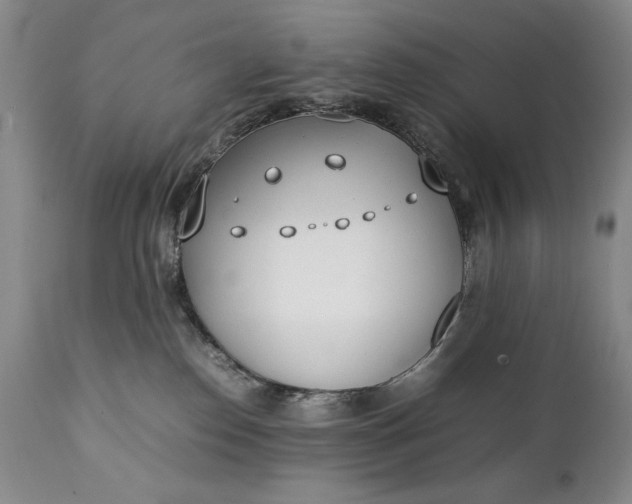 X0000111430186200907271114