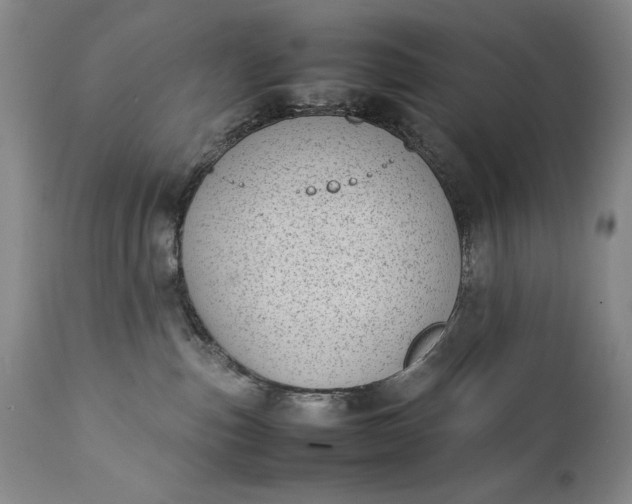 X0000111430187200907271114