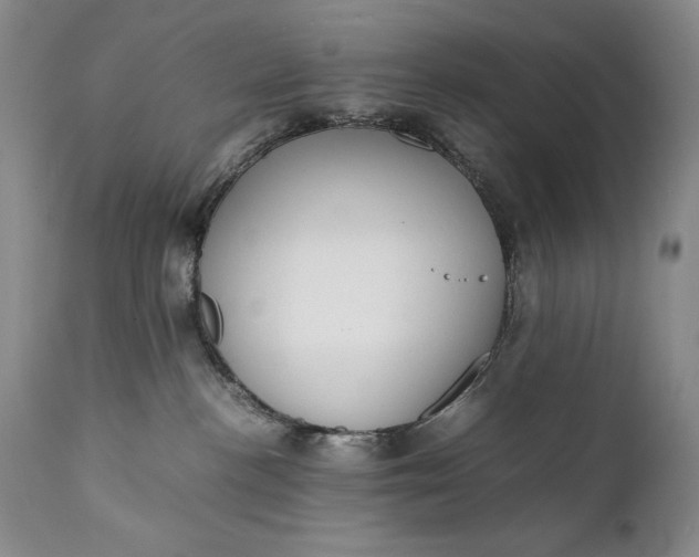 X0000111430188200907271114