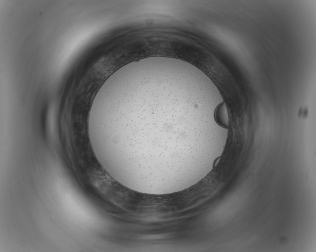 X0000111430189200907271114