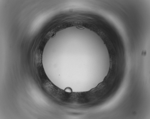 X0000111430190200907271114