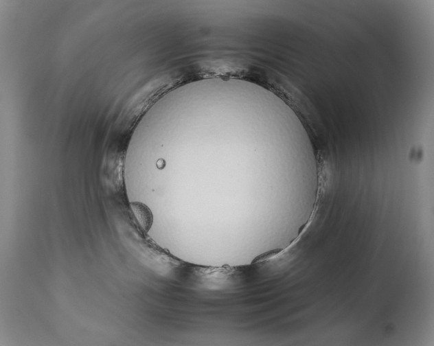 X0000111430191200907271114