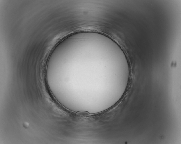 X0000111430193200907271113