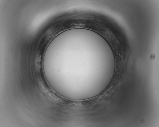 X0000111430194200907271113