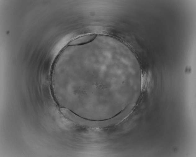 X0000111430195200907271113